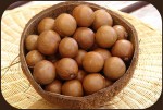 Hạt macadamia