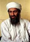 Bin laden