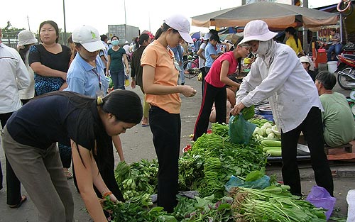 Minh họa